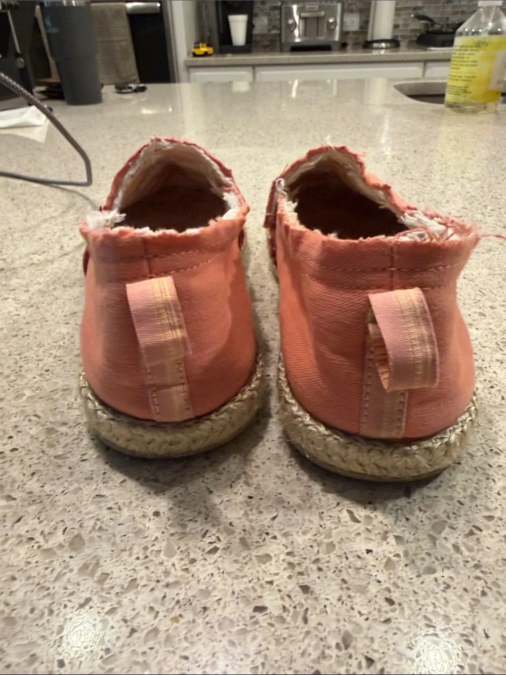 Vionic Coral Canvas Slip-On Espadrilles